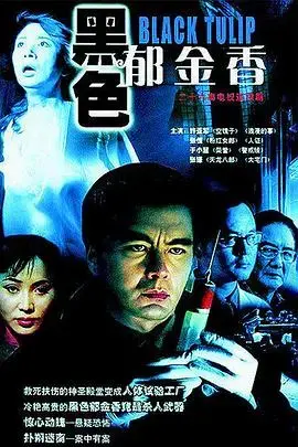 《黑色郁金香》：复仇与命运，一段充满悬疑的冒险