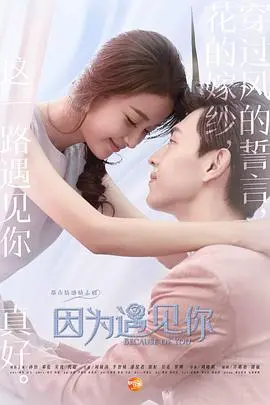 《因为遇见你》：刺绣梦想与爱情的交织，一场关于命运的甜蜜邂逅！